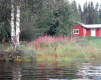Ferienhaus "Bäckstugan Lofssjön ", Lofsdalen, Härjedalen