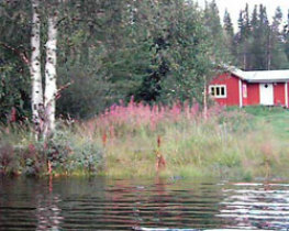 Ferienhaus "Bäckstugan Lofssjön ", Lofsdalen, Härjedalen