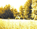 Ferienhaus "Lillebo Lojsta", Stånga, Gotland