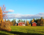 Ferienhaus "Stugor Aspberg", Lansjärv, Norrbotten
