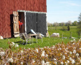 Ferienwohnung "Sjöladan", Axvall, Västergötland