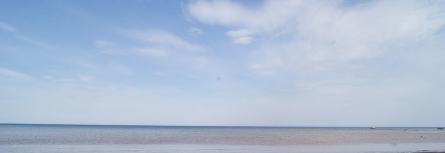 Schweden Urlaub im Ferienhaus auf Gotland