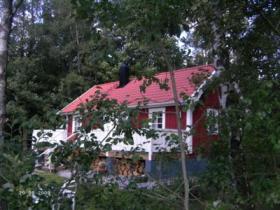 Ferienhaus "Örnest", Holmsjö, Blekinge