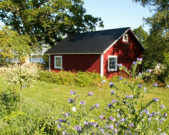 Sommarbyn 9 Bild 