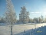  Winteridylle